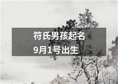 符氏男孩起名9月1号出生