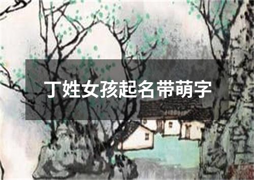 丁姓女孩起名带萌字