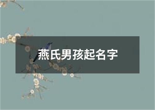 燕氏男孩起名字