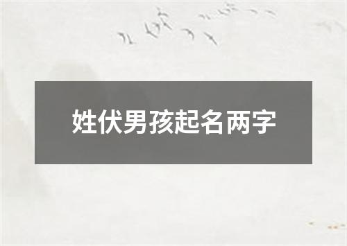 姓伏男孩起名两字