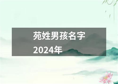 苑姓男孩名字2024年