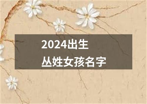 2024出生丛姓女孩名字