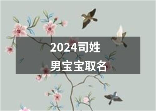 2024司姓男宝宝取名