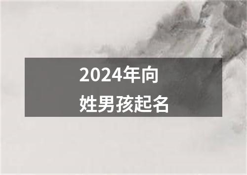 2024年向姓男孩起名