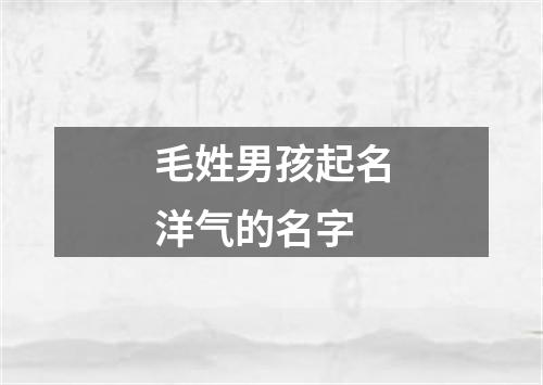 毛姓男孩起名洋气的名字