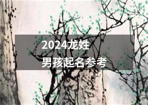 2024龙姓男孩起名参考