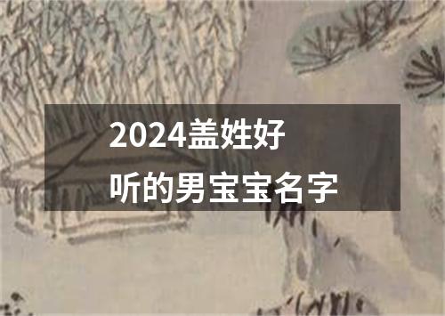 2024盖姓好听的男宝宝名字