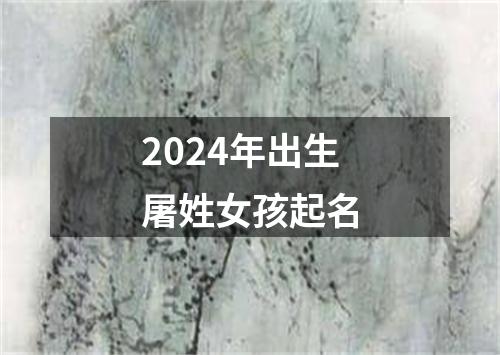 2024年出生屠姓女孩起名