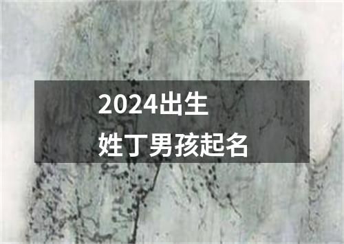 2024出生姓丁男孩起名