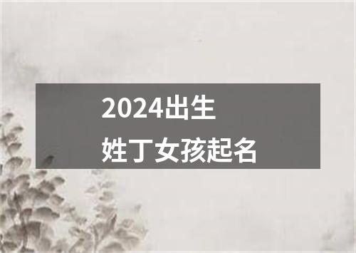 2024出生姓丁女孩起名