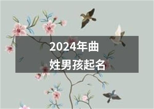 2024年曲姓男孩起名