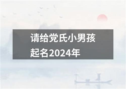 请给党氏小男孩起名2024年