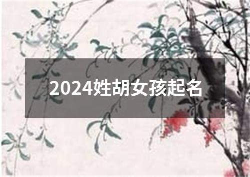 2024姓胡女孩起名