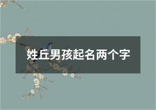 姓丘男孩起名两个字