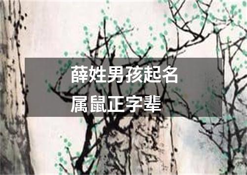 薛姓男孩起名属鼠正字辈