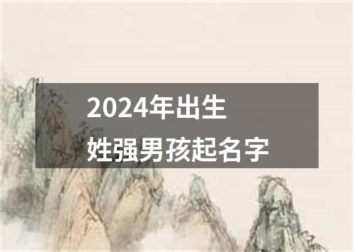 2024年出生姓强男孩起名字