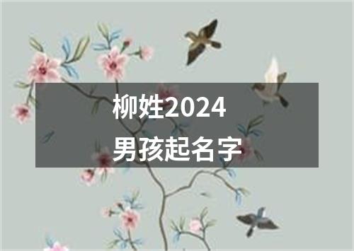 柳姓2024男孩起名字