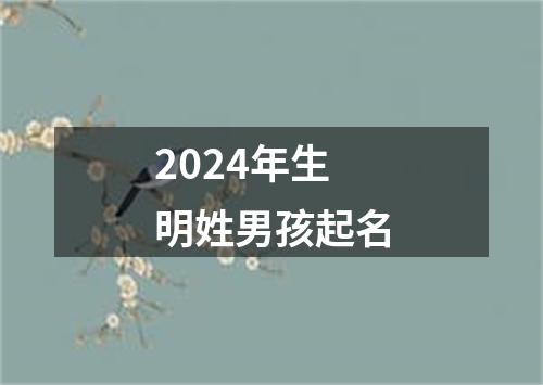 2024年生明姓男孩起名