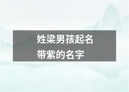 姓梁男孩起名带紫的名字