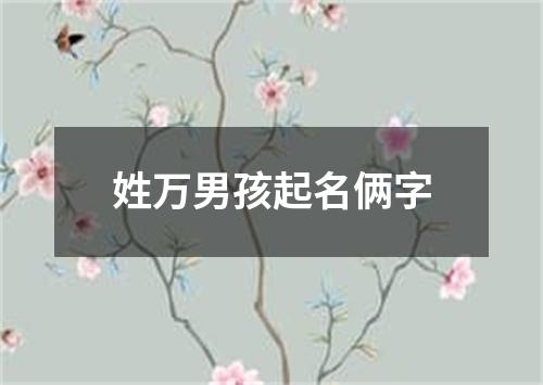 姓万男孩起名俩字