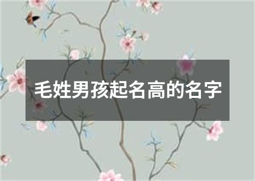 毛姓男孩起名高的名字