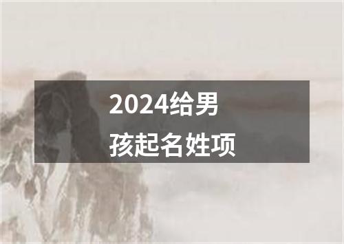 2024给男孩起名姓项