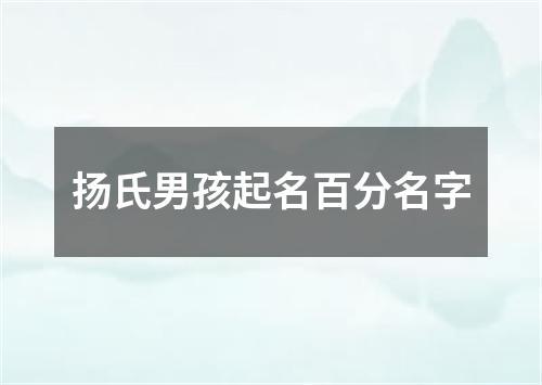 扬氏男孩起名百分名字