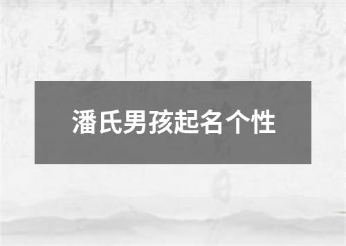 潘氏男孩起名个性