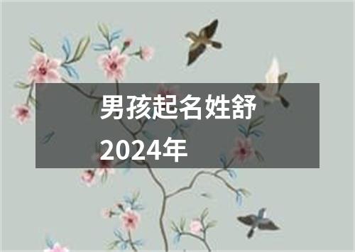 男孩起名姓舒2024年