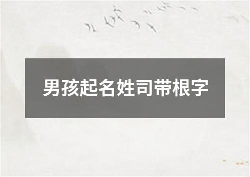 男孩起名姓司带根字