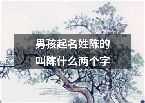 男孩起名姓陈的叫陈什么两个字