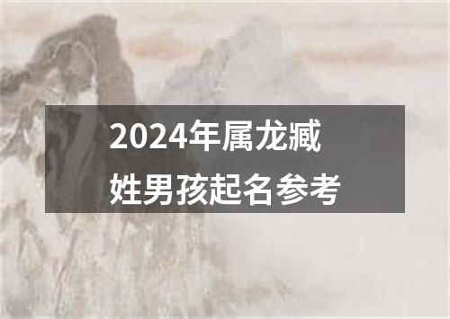 2024年属龙臧姓男孩起名参考