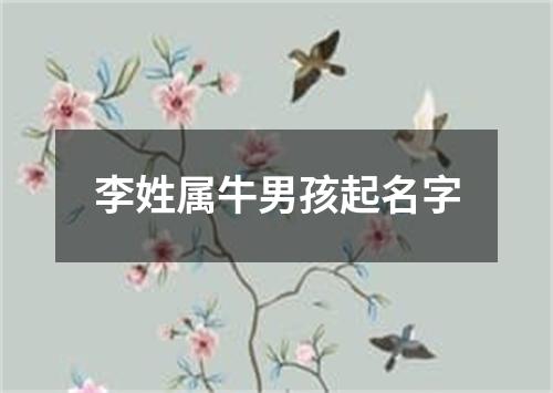 李姓属牛男孩起名字