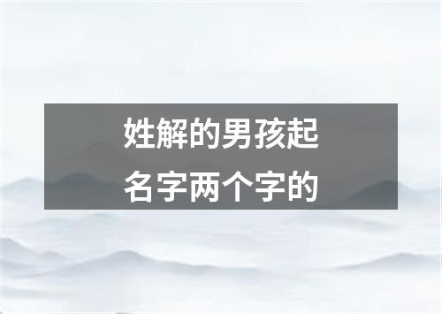 姓解的男孩起名字两个字的