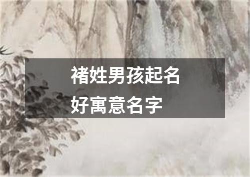 褚姓男孩起名好寓意名字