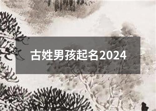 古姓男孩起名2024