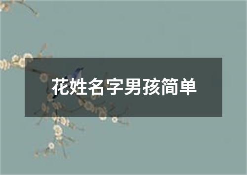 花姓名字男孩简单