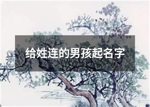 给姓连的男孩起名字