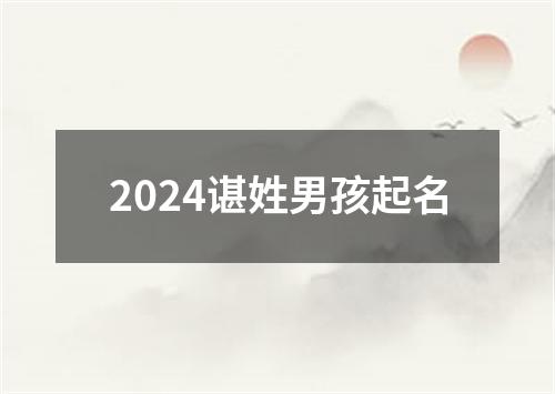 2024谌姓男孩起名