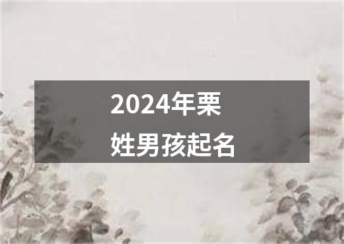 2024年栗姓男孩起名