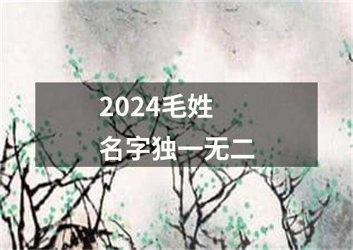 2024毛姓名字独一无二