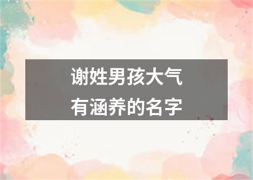 谢姓男孩大气有涵养的名字