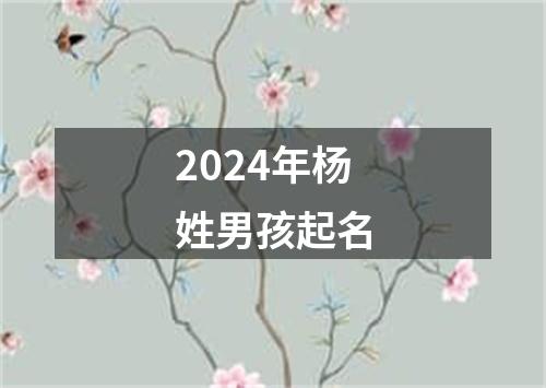 2024年杨姓男孩起名