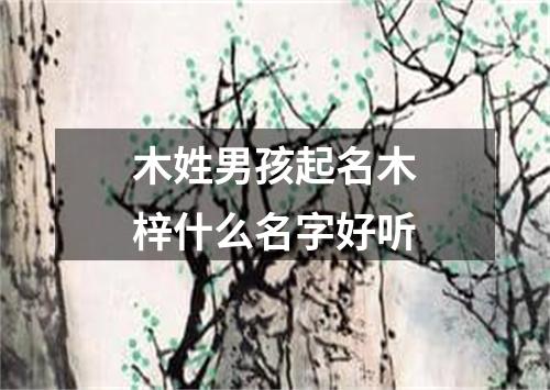 木姓男孩起名木梓什么名字好听