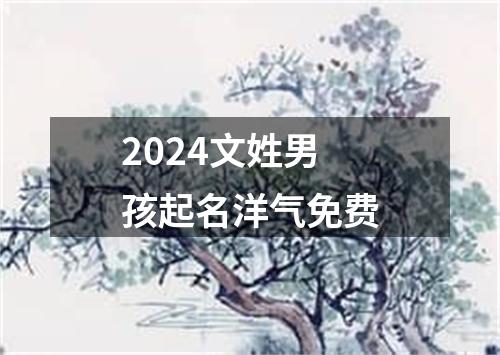 2024文姓男孩起名洋气免费