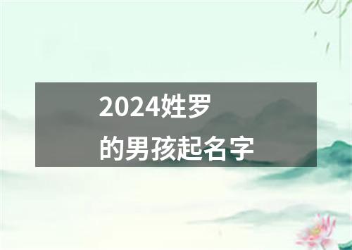 2024姓罗的男孩起名字