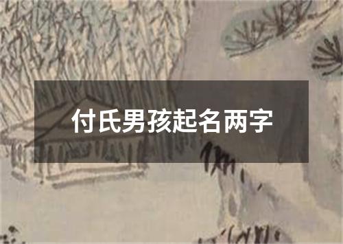 付氏男孩起名两字