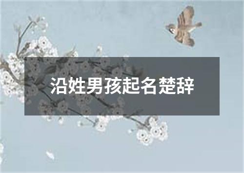 沿姓男孩起名楚辞