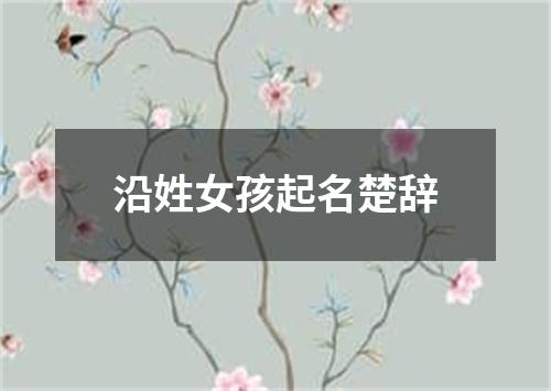 沿姓女孩起名楚辞