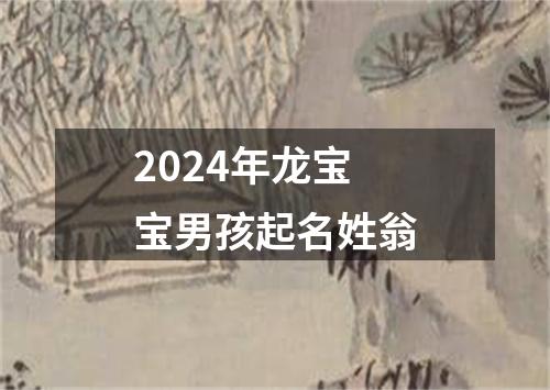 2024年龙宝宝男孩起名姓翁